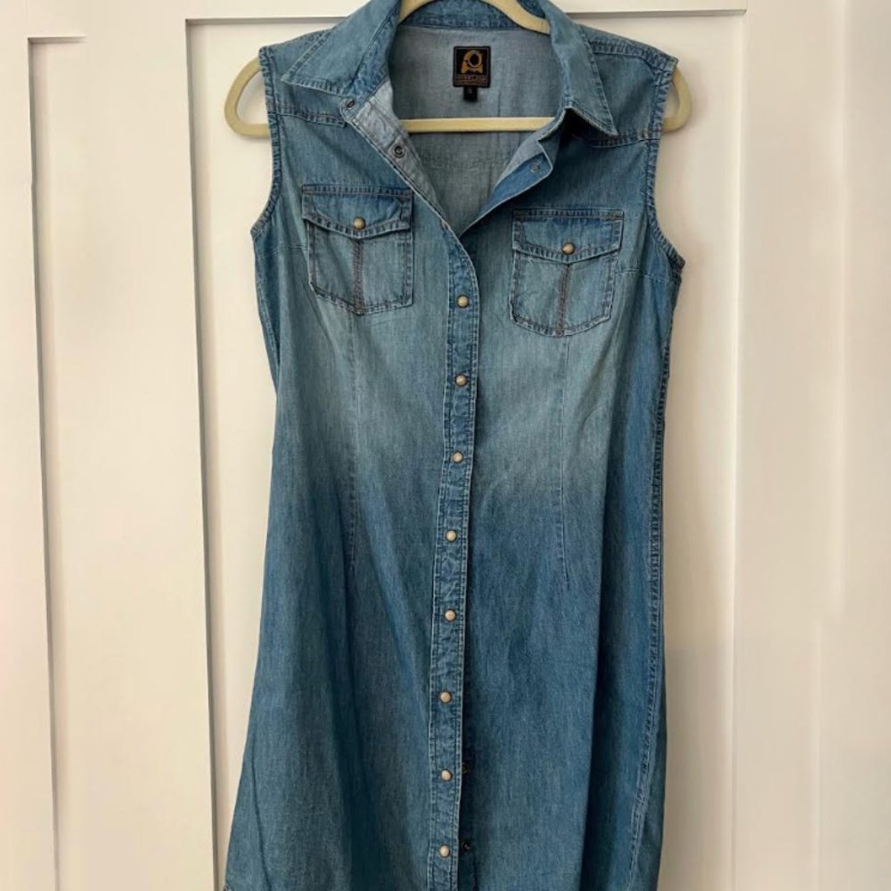 Overland denim mini dress with snap buttons